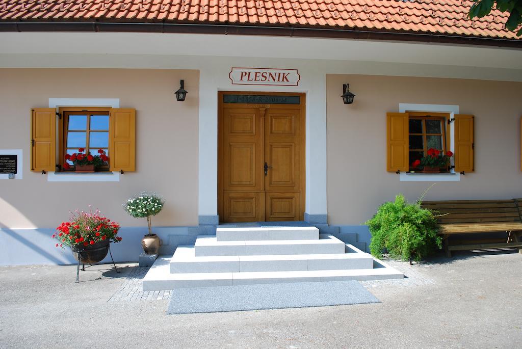 Farm Stay Rotovnik - Plesnik Slovenj Gradec Exterior foto